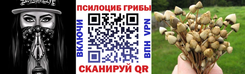 Галлюциногенные грибы GOLDEN TEACHER  Купить где  Магнитогорск 